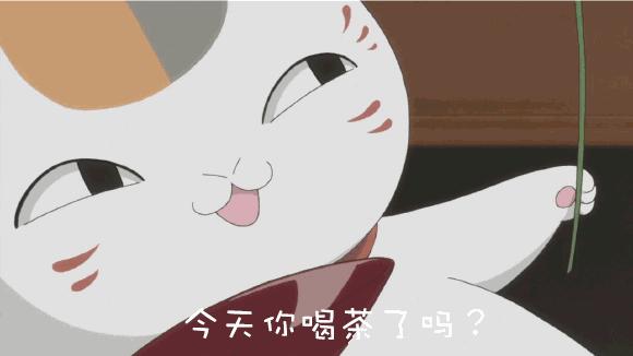 如何撬开一饼普洱茶，手把手教程