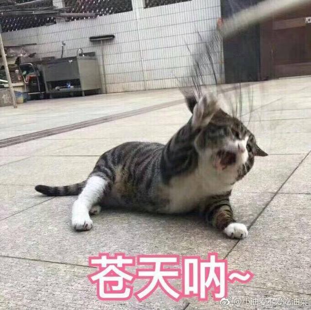 女神人手一只的黄皮救星—橘色口红，显白减龄不挑人！