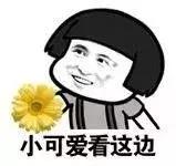 敏捷豪掷18.65亿拍下约196亩地块，内配公立大幼儿园、公园等设施！