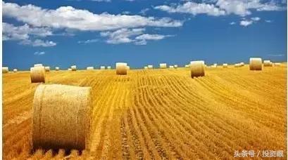 券商研报在哪看,券商研报在哪里可以看到最新的