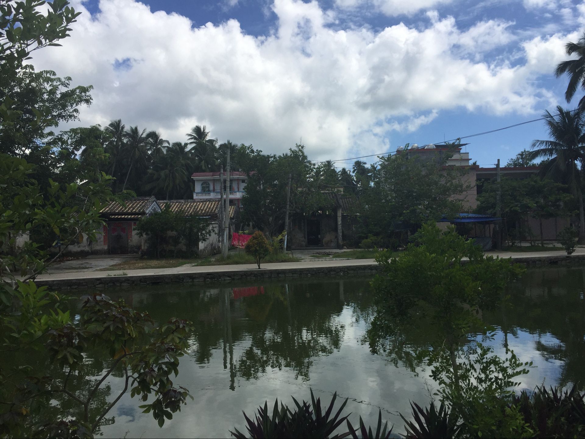 候鸟在海南过冬怎么在网上找房子,北方候鸟海南过冬