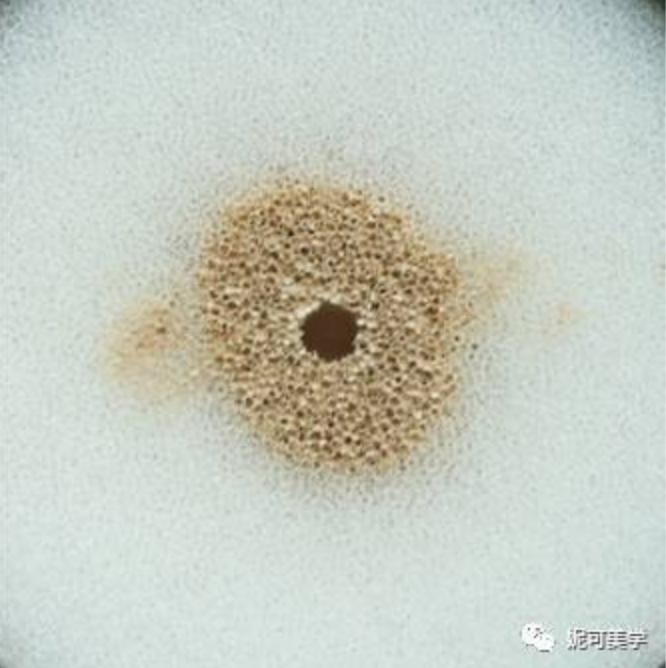 十大气垫的粉底液测评,干皮混干皮韩系气垫测评推荐