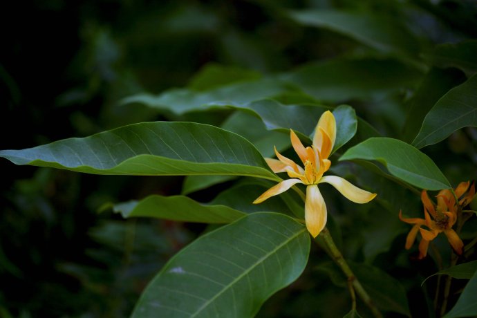 每个人都要经历的必经之路 (每个人所走的路都是必经之路)