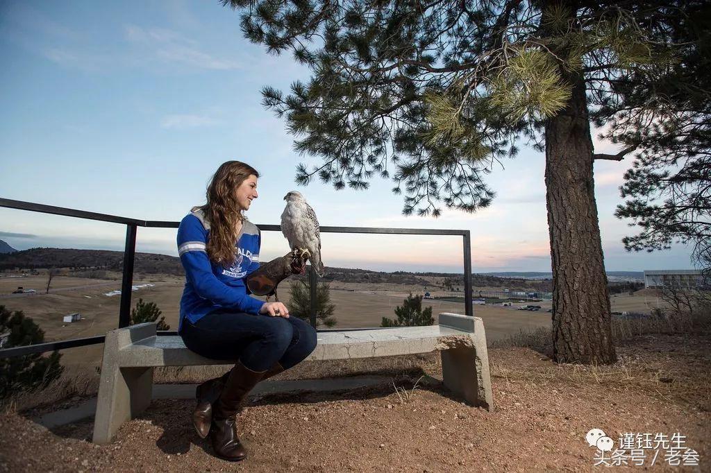 美国最豪华的军校,美国军校有哪些