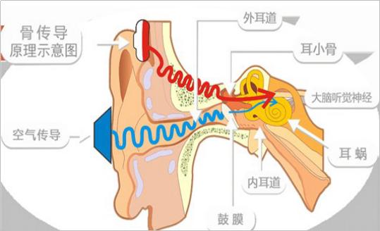v课堂实景,v课堂操作指南