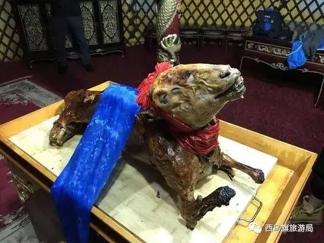 去了内蒙为什么敬酒三杯，哈达怎么接，马奶也是良药？