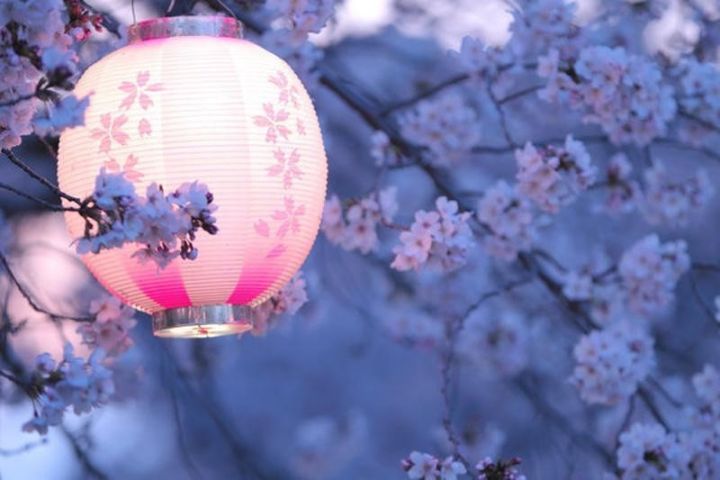 学日语被针对,学日语被同学们鄙视怎么办