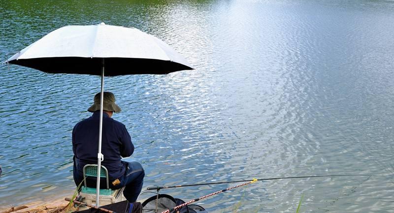 钓自然水域鱼的技巧,雨天黑坑钓鱼技巧大揭秘