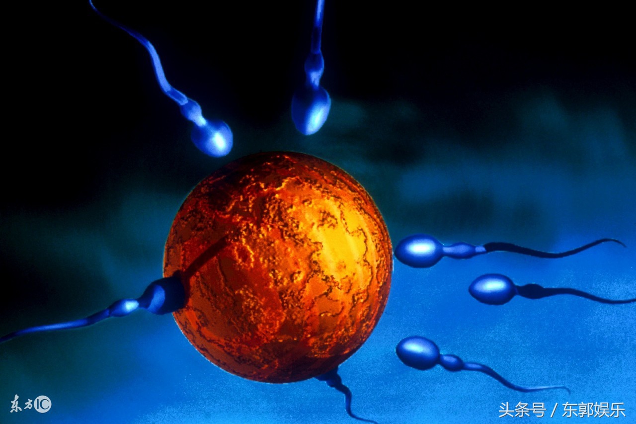 从青春到成熟的感悟,你必须知道的人生知识