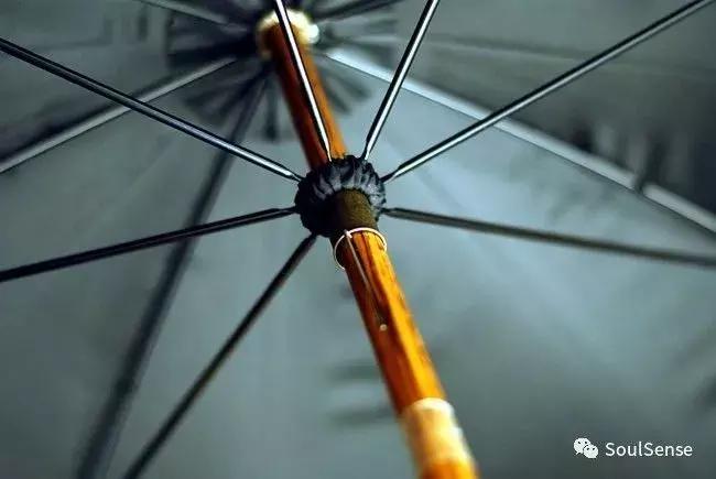 收藏雨伞,高档收藏雨伞