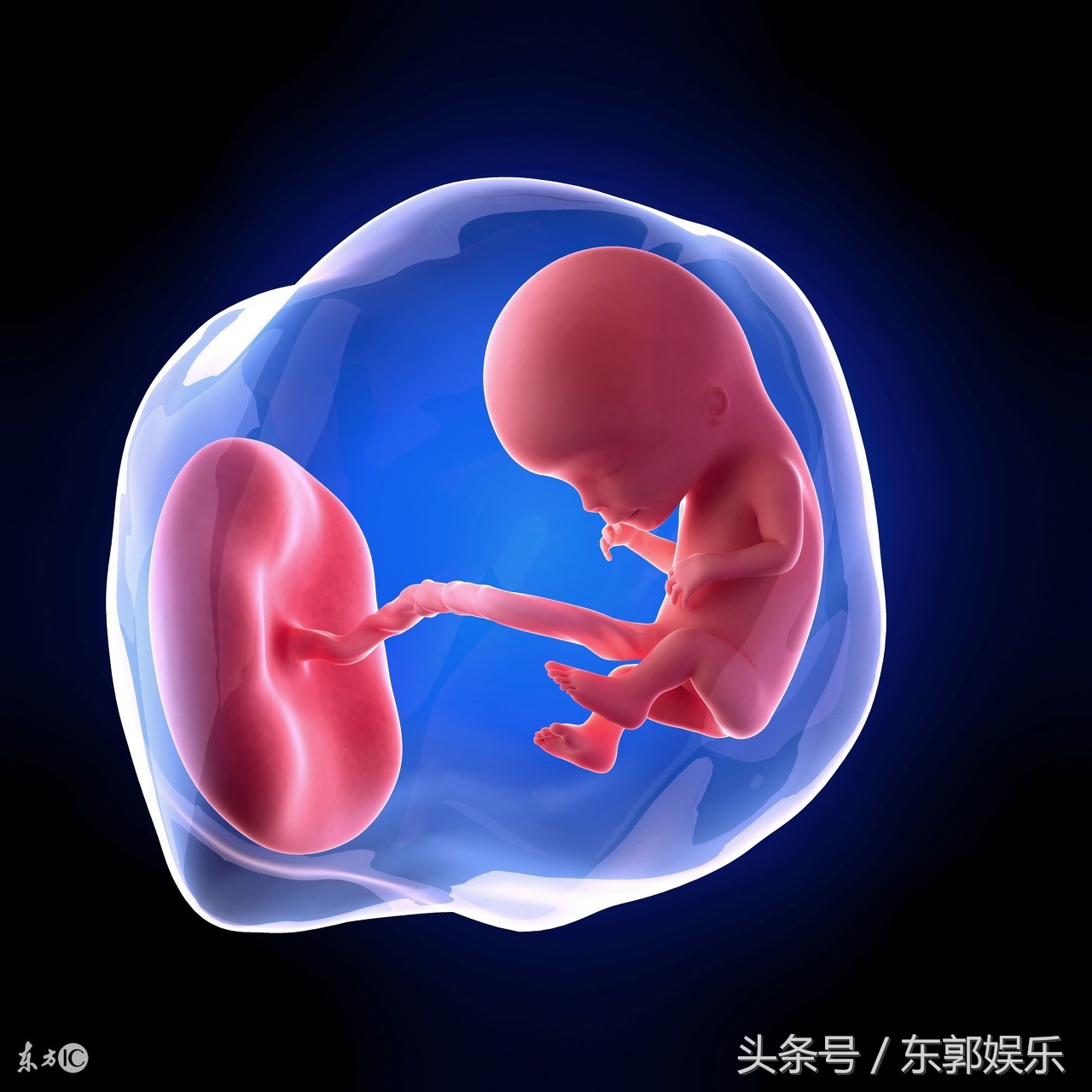 从青春到成熟的感悟,你必须知道的人生知识