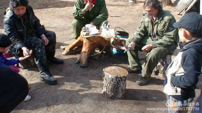 旅游、度假、休闲娱乐为一体的内蒙古根河市敖鲁古雅旅游度假村