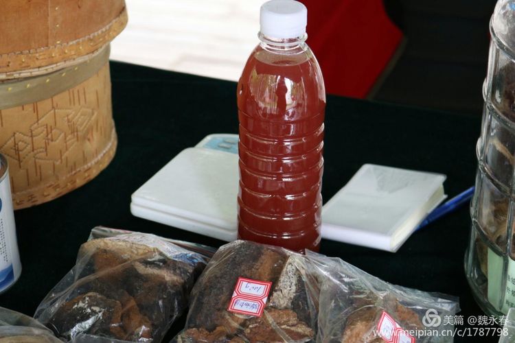 旅游、度假、休闲娱乐为一体的内蒙古根河市敖鲁古雅旅游度假村