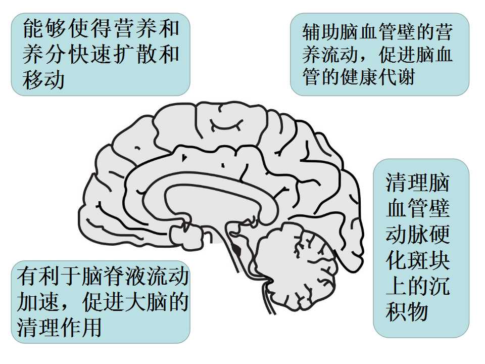v课堂实景,v课堂操作指南