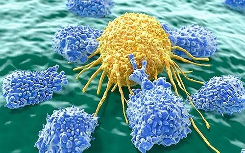 最新的癌症治疗研究方向,目前癌症治疗技术最先进