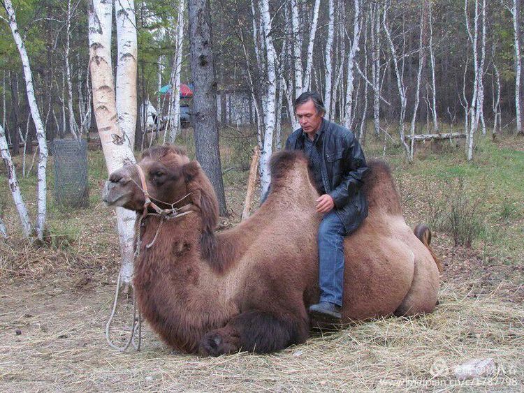 旅游、度假、休闲娱乐为一体的内蒙古根河市敖鲁古雅旅游度假村