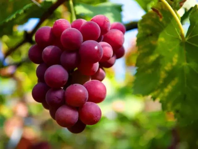 秦皇岛有什么意义,秦皇岛的意思是什么