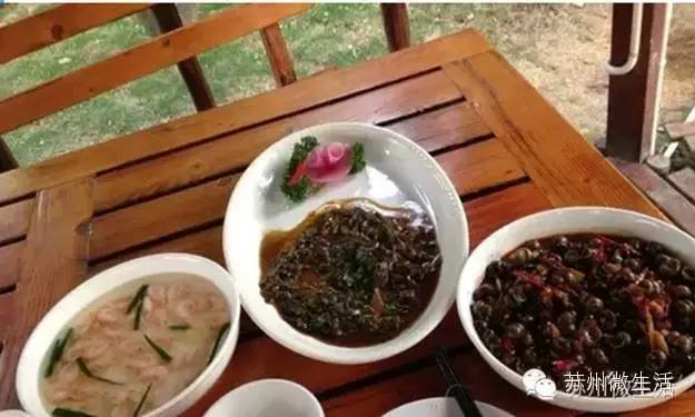 吃螺蛳的季节到了,吃螺蛳的好季节又来啦