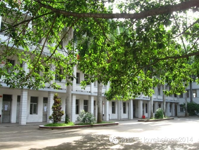 海口最好的中学,海口最厉害初中是哪个