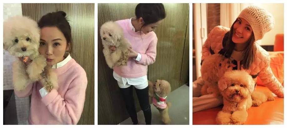 盘点那些不露脸长得很好看的网红,那些头像丑到爆的网红