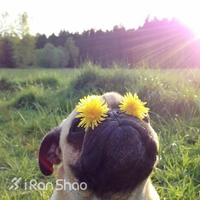 花粉过敏如何户外跑,花粉过敏怎么护肤