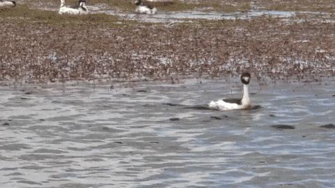 现在的小孩都那么不好哄的吗,现在的小孩不好管教