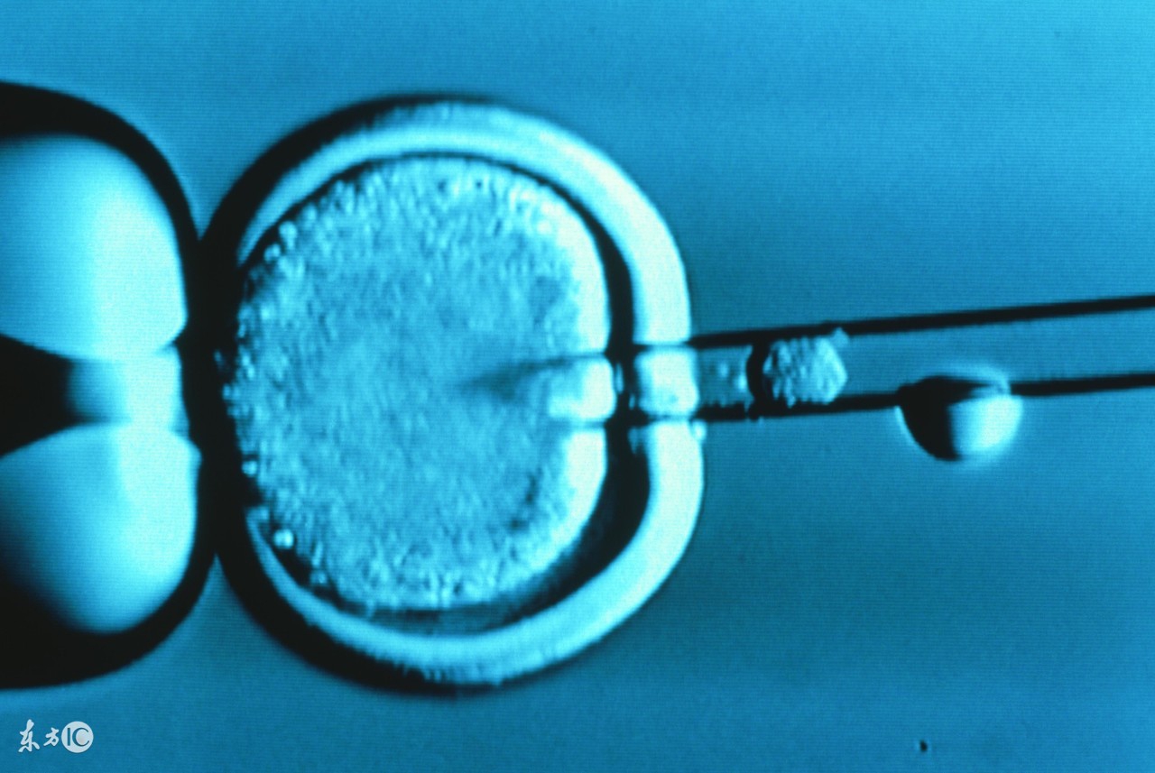 女人备孕却怀不上很可能是这个部位出了大问题