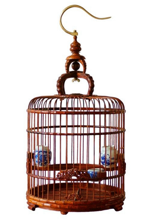 如何辨别一只鸟的真假,怎么辨别鸟笼真假