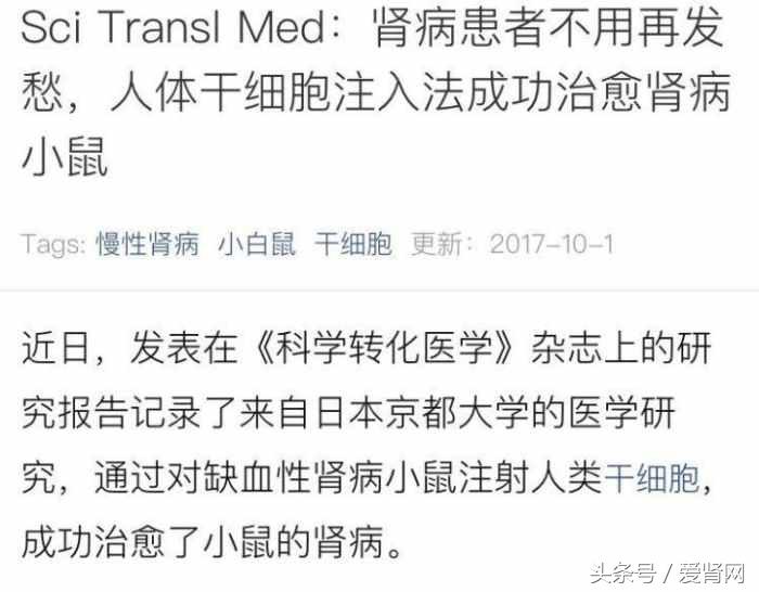 闂村厖璐ㄥ共缁嗚優娌荤枟鑲剧梾,骞茬粏鑳炴不鐤楄偩鐥呮柊杩涘睍