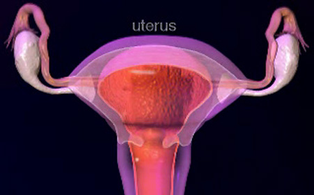 盆腔积液多少正常？你的正常吗？