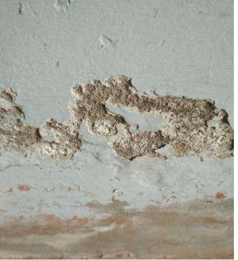 旧房翻新墙面发霉了怎么办,旧房墙壁发霉怎么办