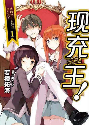 二次元基本术语大全合集,二次元令人心跳的术语