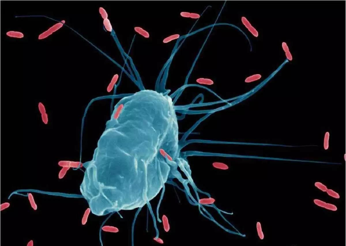 最新的癌症治疗研究方向,目前癌症治疗技术最先进