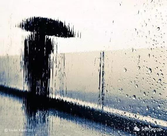 收藏雨伞,高档收藏雨伞