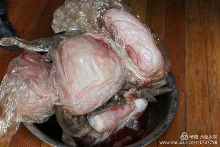 旅游、度假、休闲娱乐为一体的内蒙古根河市敖鲁古雅旅游度假村