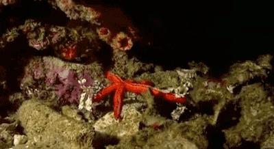 等了你十七年,等了17年