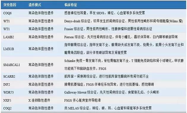 局灶节段性肾小球硬化用单抗治疗,局灶性肾小球硬化是基因问题吗