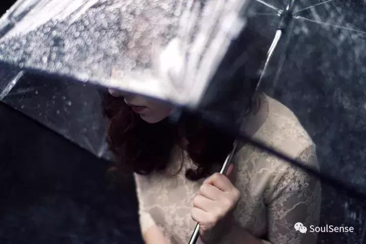 收藏雨伞,高档收藏雨伞