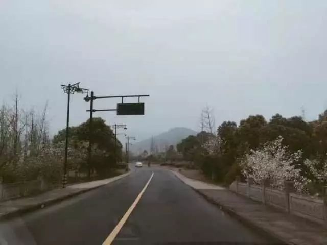 最红的网红淘宝店主,上海网红淘宝店主