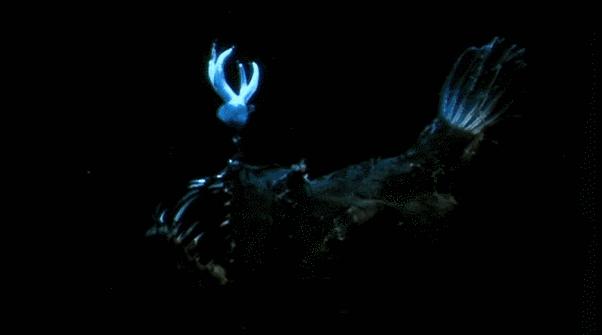 等了你十七年,等了17年