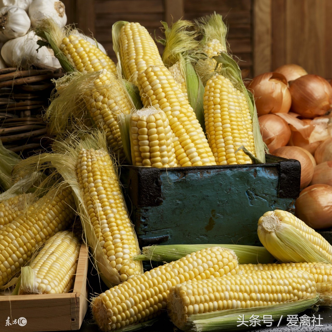 连续阴雨天玉米容易长毛么,玉米发霉了怎么发酵成农村肥料