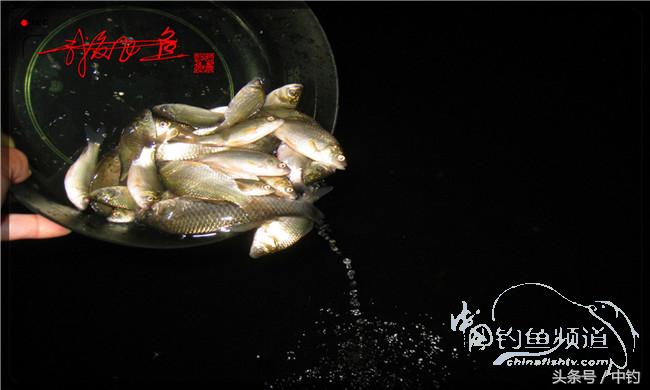 夜钓继续过小瘾，回家煲煲爱心粥