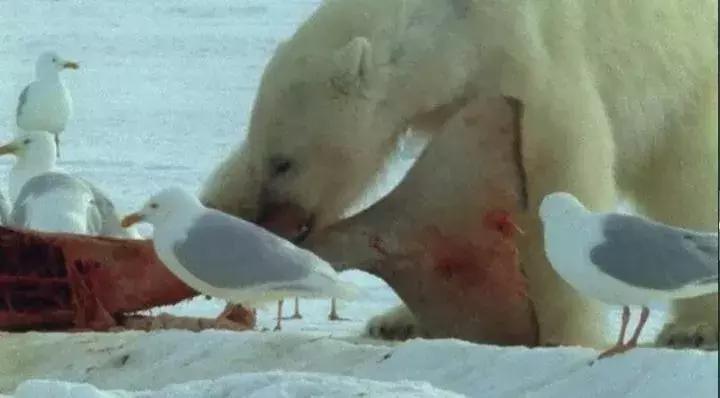 等了你十七年,等了17年