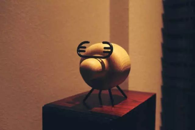 最红的网红淘宝店主,上海网红淘宝店主