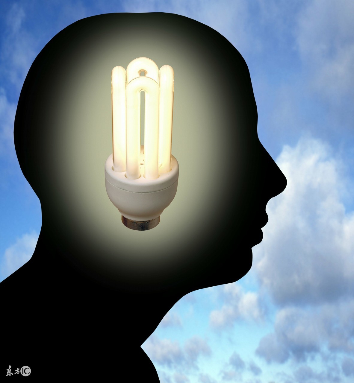 饭局狼人杀语言技巧,饭局狼人杀哪一期最好看