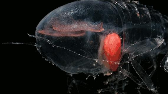 等了你十七年,等了17年