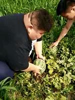 女人害怕老鼠的视频,真的害怕老鼠吗