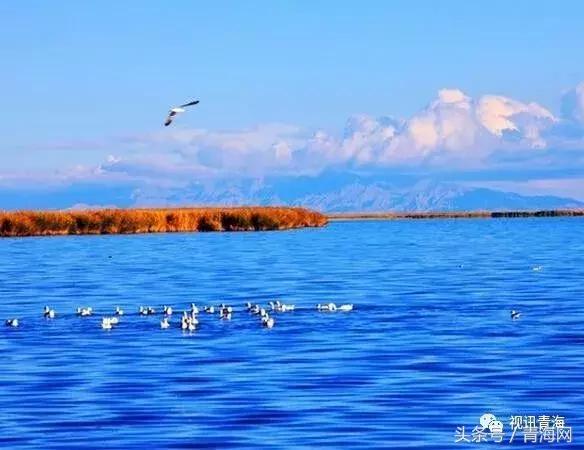 青海最美100个景点,青海最美的10个湖你都去过吗