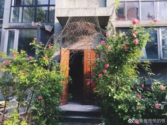 最红的网红淘宝店主,上海网红淘宝店主