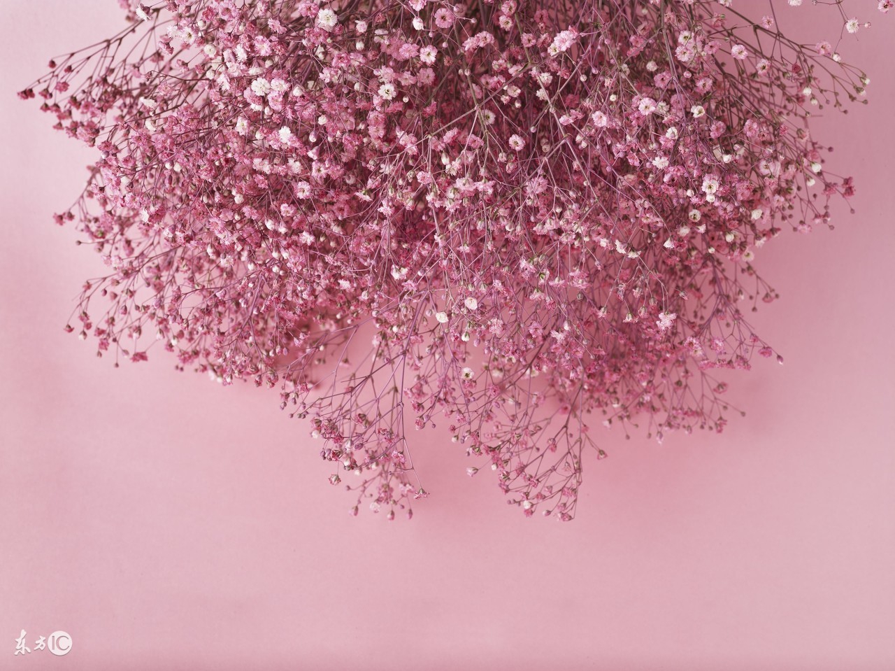 公务接待穿什么,公务礼品一般送什么